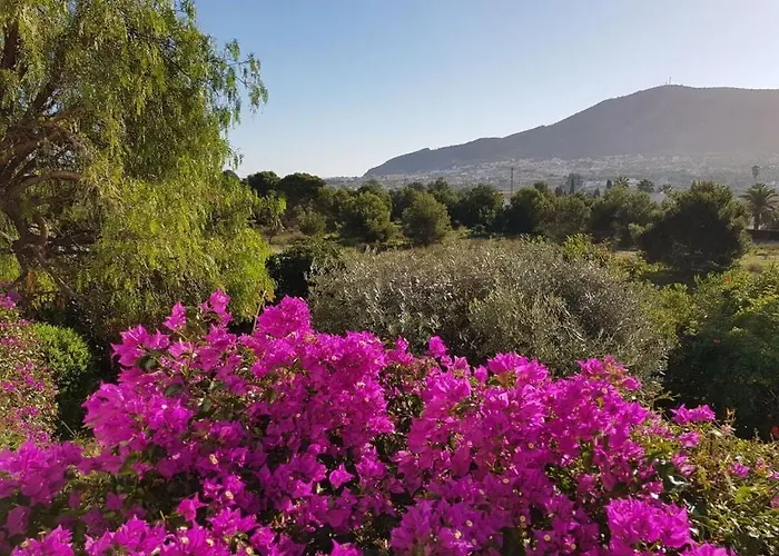 Villa Naranjo Comfortable Holiday Residence